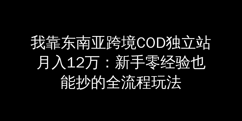 我靠东南亚跨境COD独立站月入12万：新手零经验也能抄的全流程玩法