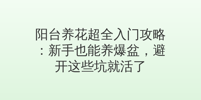 阳台养花超全入门攻略：新手也能养爆盆，避开这些坑就活了