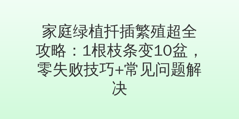 家庭绿植扦插繁殖超全攻略：1根枝条变10盆，零失败技巧+常见问题解决
