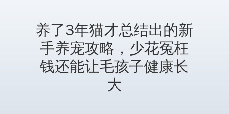 养了3年猫才总结出的新手养宠攻略，少花冤枉钱还能让毛孩子健康长大